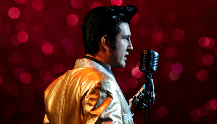 Elvis the King in Concert