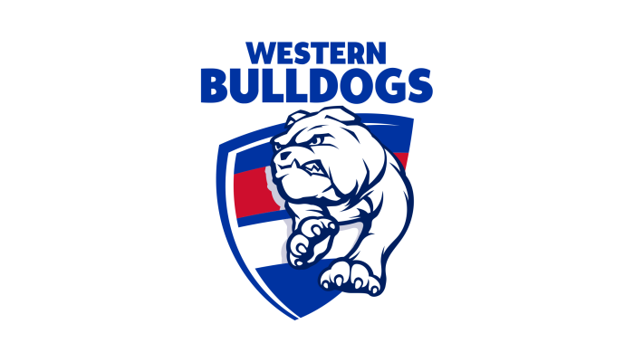 Western Bulldogs v Essendon - AFL & Centre Wing Members